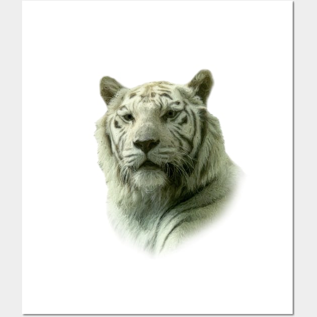 White tiger Wall Art by Guardi